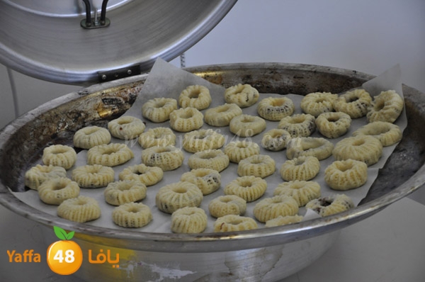 ajyal ada73ah (8).JPG